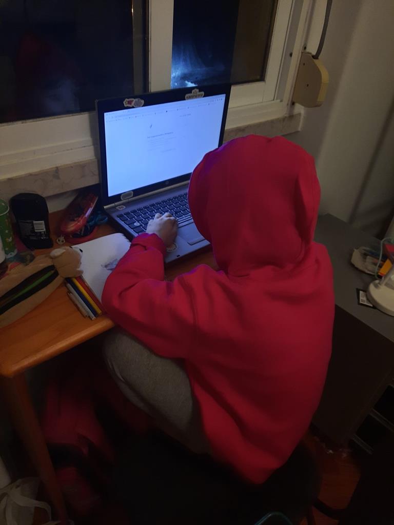 Diana joga computador enquanto não tem Internet. Foto: Filipa Ribeiro/RR