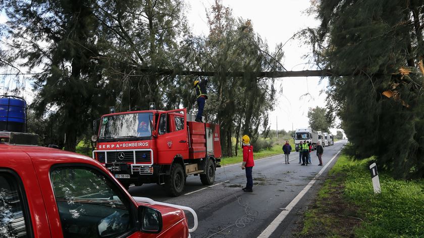 Bombeiros Voluntários de Serpa removem uma árvore caída devido aos ventos fortes. Foto: Nuno Veiga/Lusa