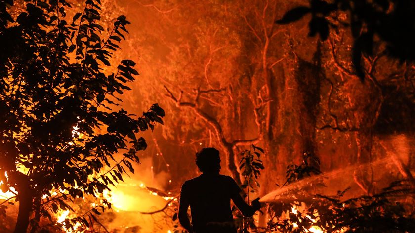 Incêndio de Monchique. Foto: Miguel A. Lopes/EPA