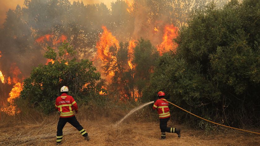 O risco de incêndio determinado pelo IPMA tem cinco níveis, que vão de reduzido a máximo. Foto: Miguel A. Lopes/Lusa