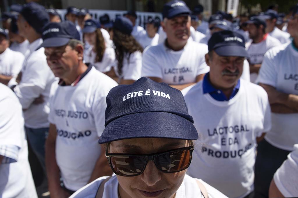 Produtores de leite voltam à rua para reivindicar "um preço justo". Foto: José Coelho/Lusa