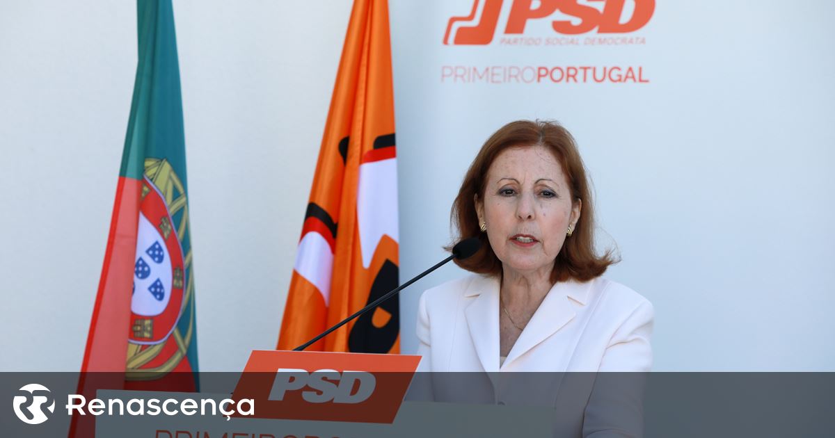 Maria da Graça Carvalho, a ministra do Ambiente que já foi ministra da Ciência