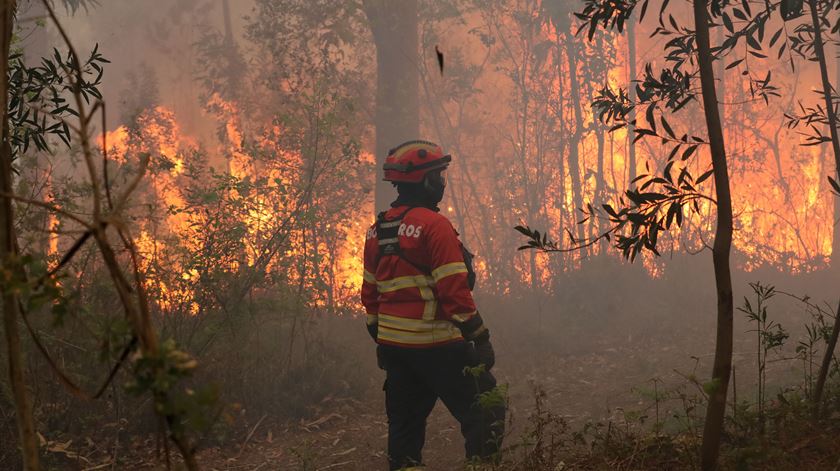 Incêndio em Ourique mobiliza mais de 100 homens. Foto: Paulo Novais/Lusa (arquivo)