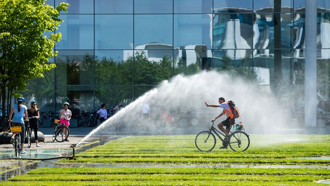 Ciclista aproveita a rega de um jardim de Berlim para combater o calor. Foto: Jens Schlueter/EPA