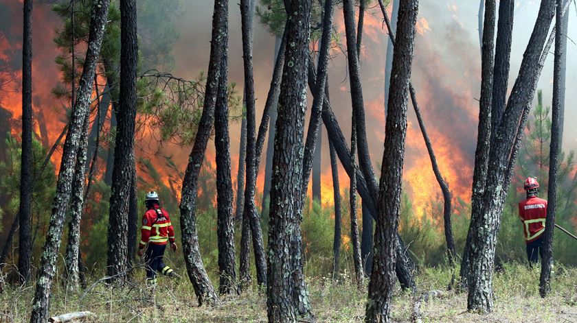  Bombeiros combatem incêndio em Mação. Foto: António José/Lusa