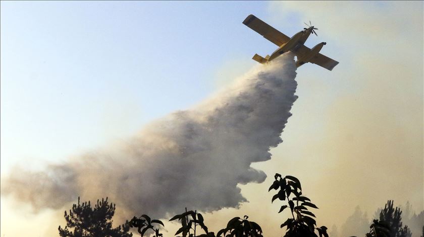Tal como no ano passado, há 60 meios aéreos para combater incêndios este ano. Foto: António José/Lusa