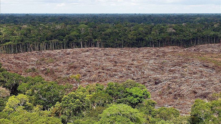 Deflorestação na Amazónia. Foto: Marcelo Sayao/EPA