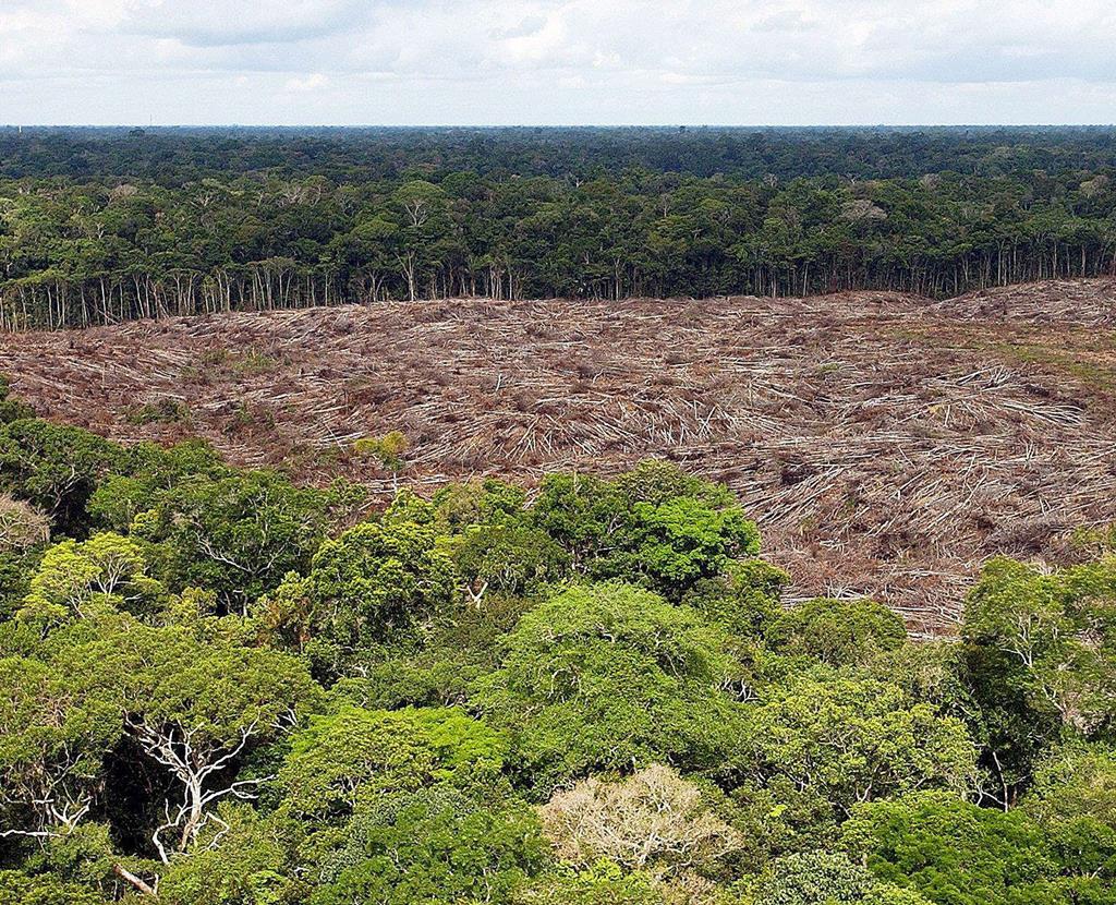 Deflorestação da Amazónia. Foto: Marcelo Sayao/EPA