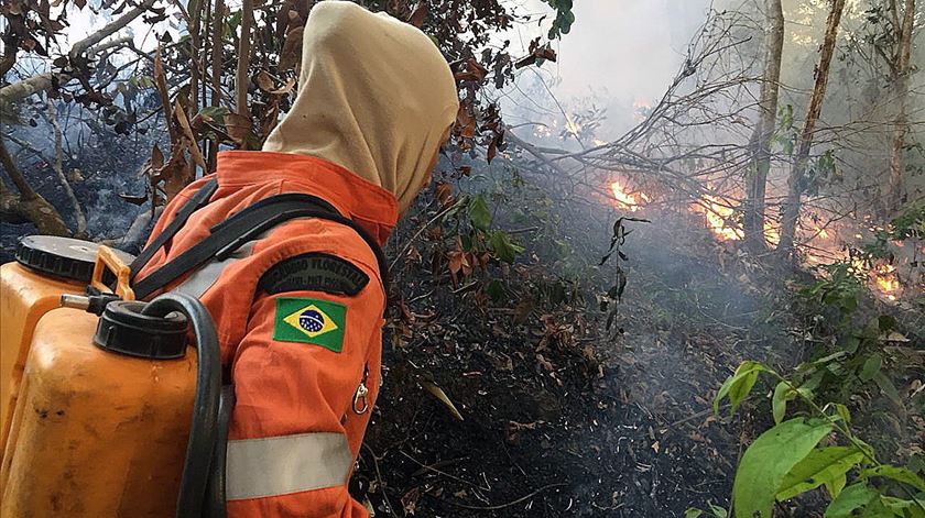 Foto: Porto Velho Firefighters/ EPA