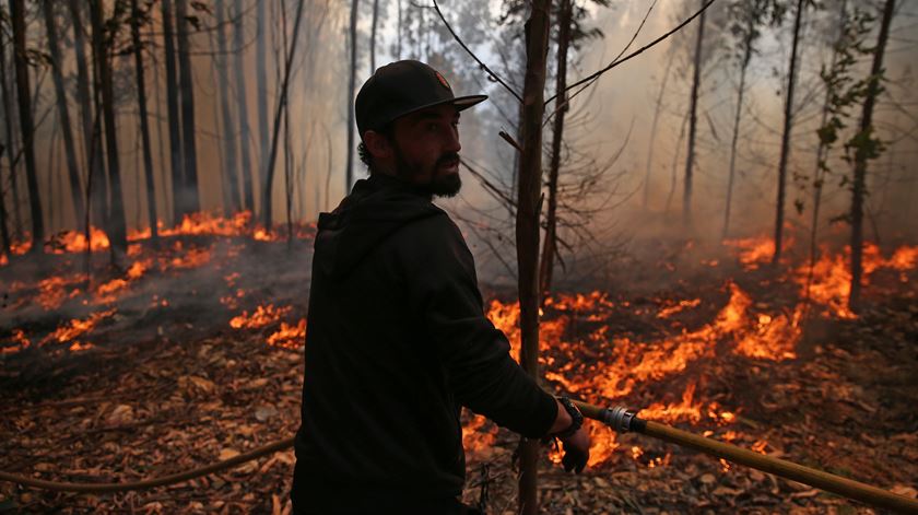 O incêndio na Serra da Lousã causou a morte a um bombeiro. Foto: Nuno André Ferreira/Lusa
