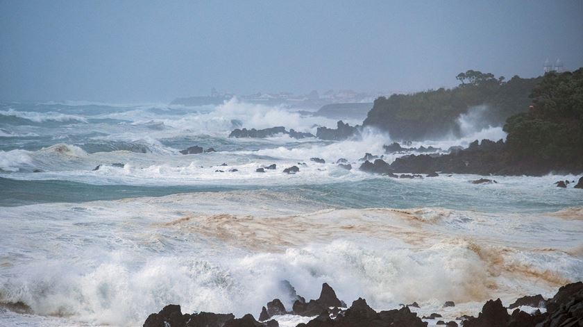 Governo dos Açores quer restruturar setor das pescas