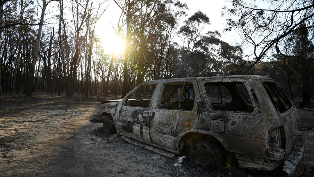 "Muitos desses incêndios permanecerão fora de controlo durante condições climáticas perigosas [previstas] para terça-feira. Um risco de incêndios catastróficos foi declarado em Sydney e nas áreas de Hunte", alertou o serviço de emergência. Foto: Dan Peled/EPA
