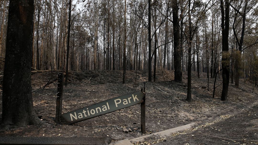 A época de incêndios na Austrália varia de acordo com a área e as condições meteorológicas, embora geralmente sejam registadas no verão australiano, entre dezembro e março. Foto: Darren Pateman/EPA