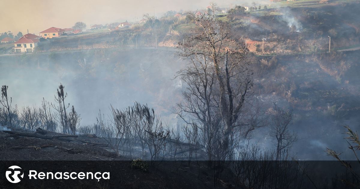 Incêndio na Madeira. Há agora cinco frentes ativas