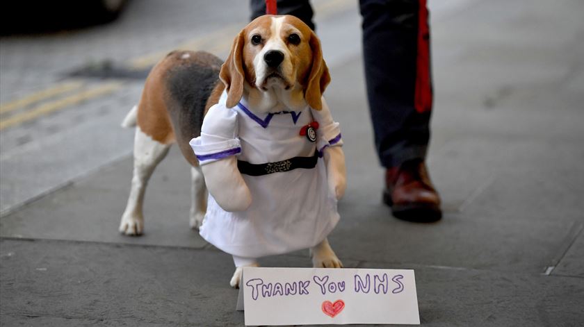 Um londrino usa o seu cão para agradecer aos profissionais de saúde. Foto: Neil Hall/EPA