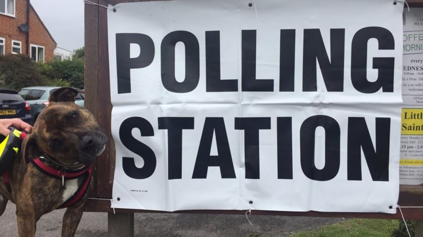 #Dogsatpollingstations é trend no dia das eleições britânicas. Foto: Twitter