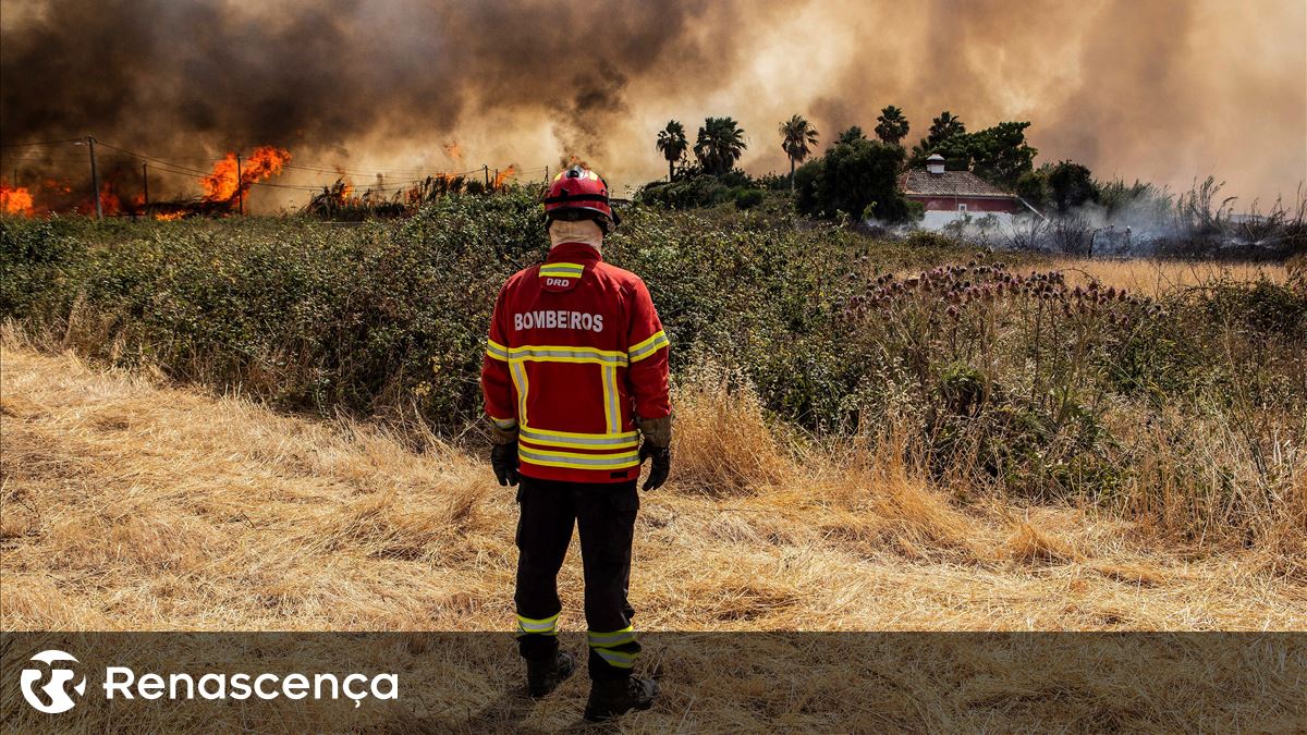“Investir mais na prevenção do que no combate aos fogos”. Experiência portuguesa debatida na ONU