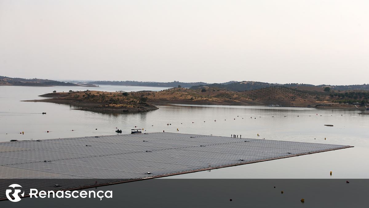 Zero contesta central solar em Ferreira do Alentejo e avaliação ambiental