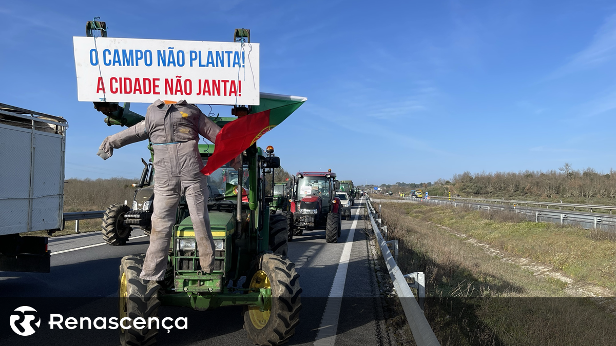 Agricultores: “Não aguentamos mais, isto já é o grito de desespero”