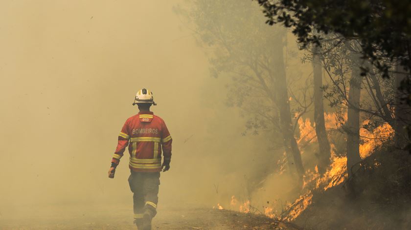 Perto de mil bombeiros combatem incêndios no país. Foto: Paulo Cunha/Lusa