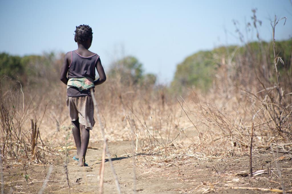 Fome e conflito em Cabo Delgado. Foto: DR