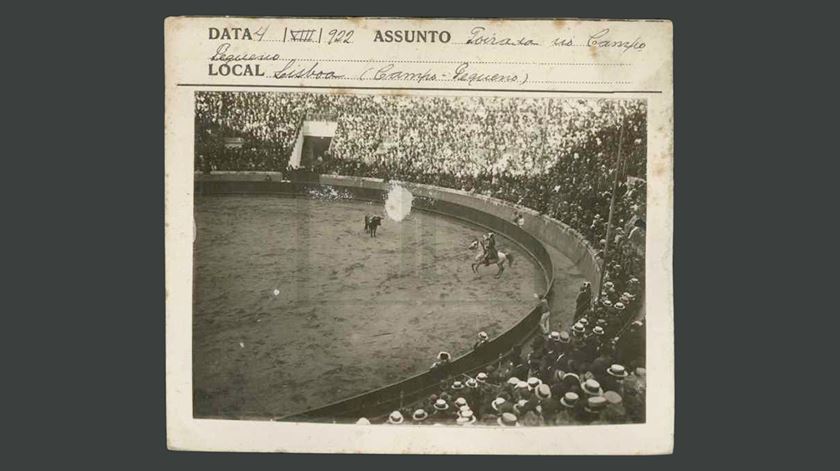 Entre afición e atrocidade: as touradas - Renascença