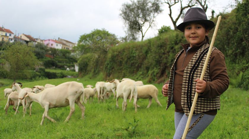 Soraia no pasto a guardar 120 ovelhas aos fins de semana. Foto: Liliana Carona/RR