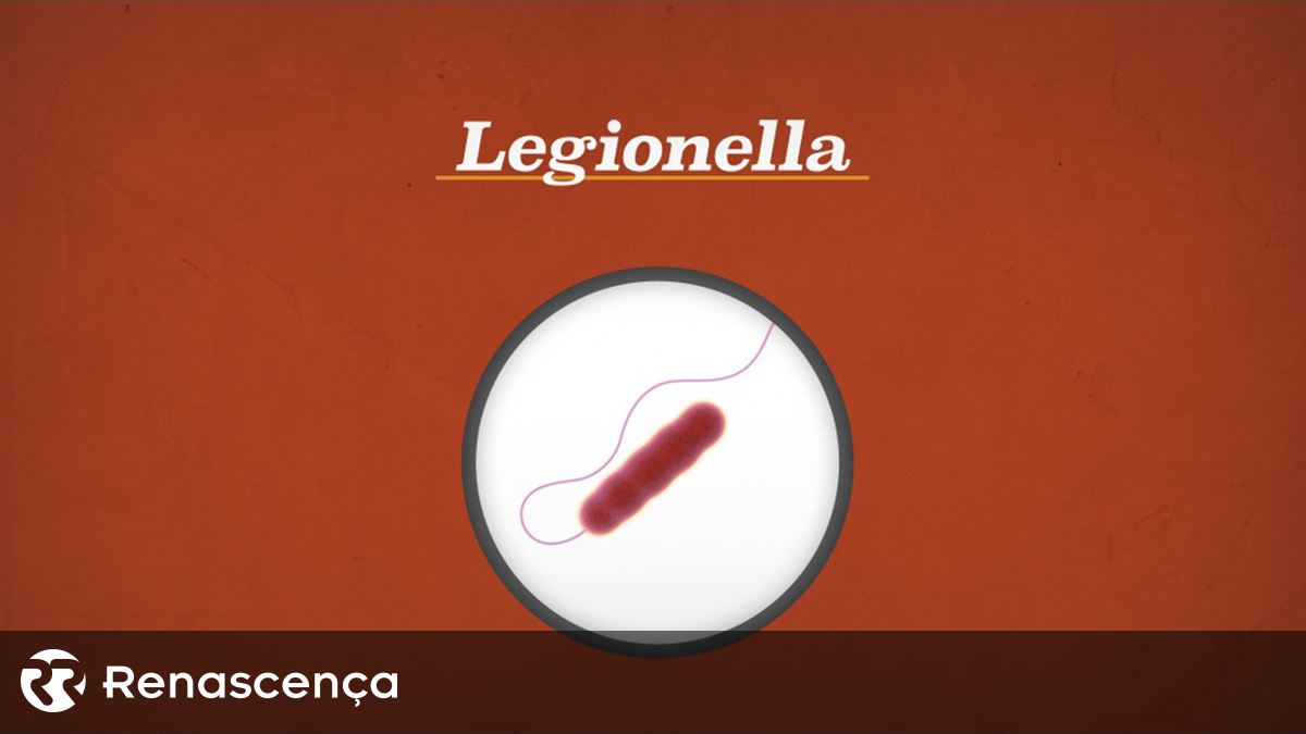 "Legionella" em escola de Gondomar