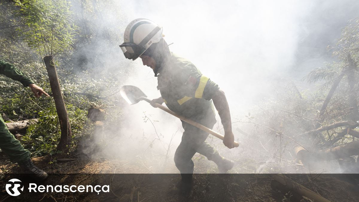 "Próximos da população e da floresta". Militares no terreno ajudam a evitar novos incêndios