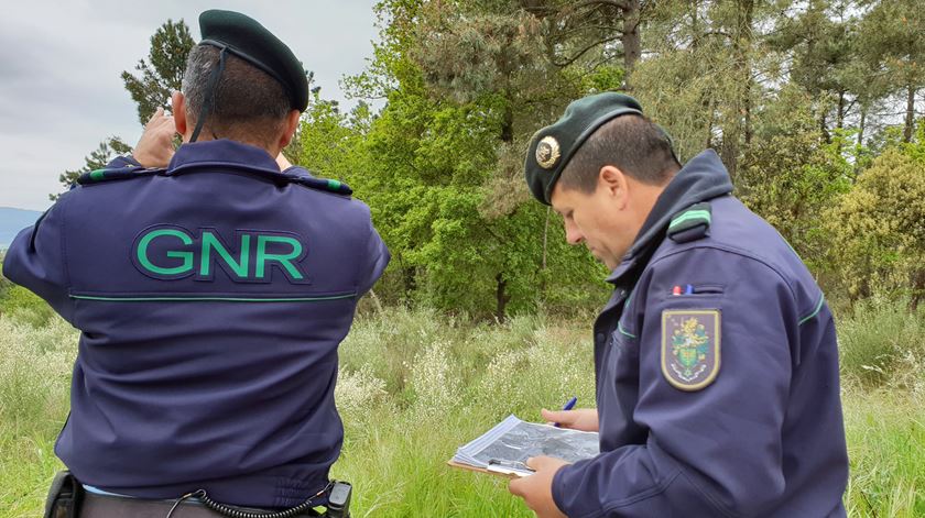 A GNR tem fiscalizado a limpeza das florestas. Foto: Olímpia Mairos/RR