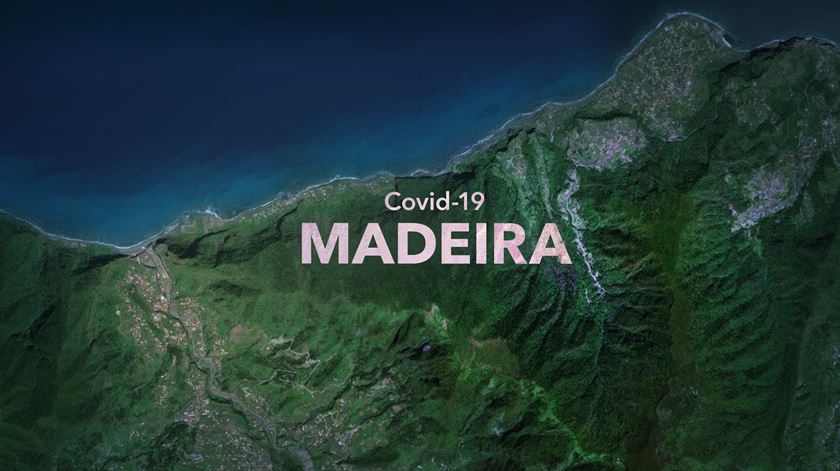 A Madeira presa entre a doença e a cura