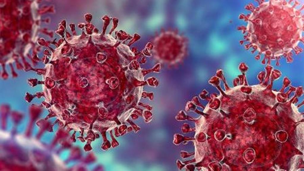 ECDC quer que o novo coronavírus seja tratado como o vírus da gripe. Foto: DR
