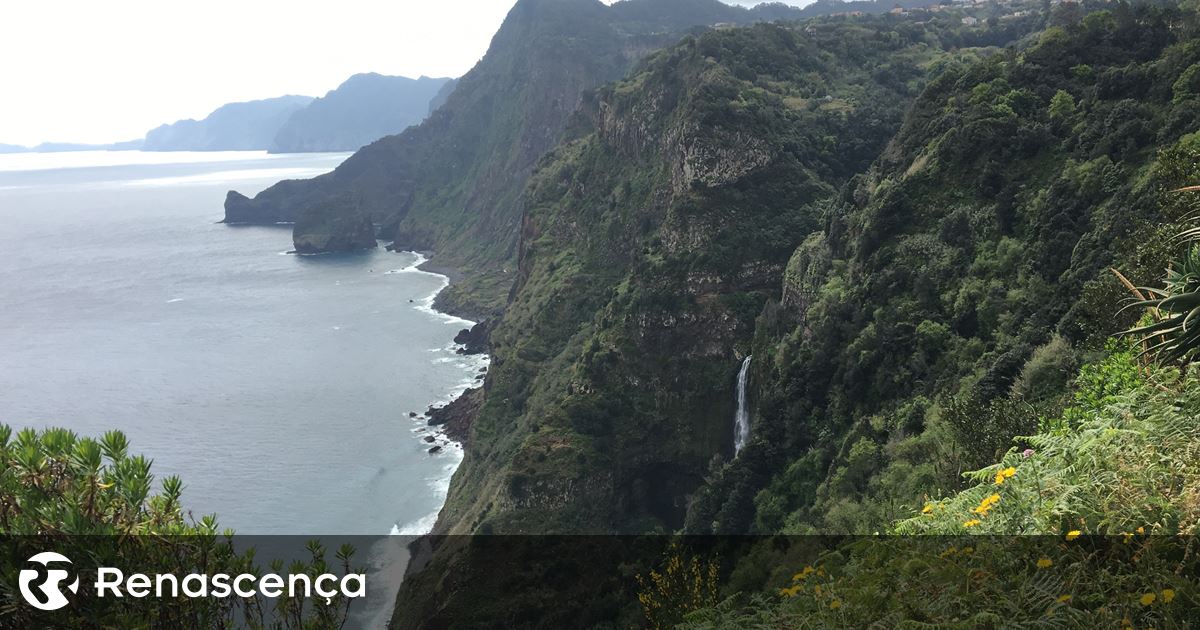 Costa sul da Madeira sob aviso amarelo até sexta-feira devido ao calor