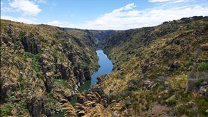 ​Redução de água de Portugal para Espanha tem consequências "muito graves". "Não podemos continuar a assobiar para o lado"