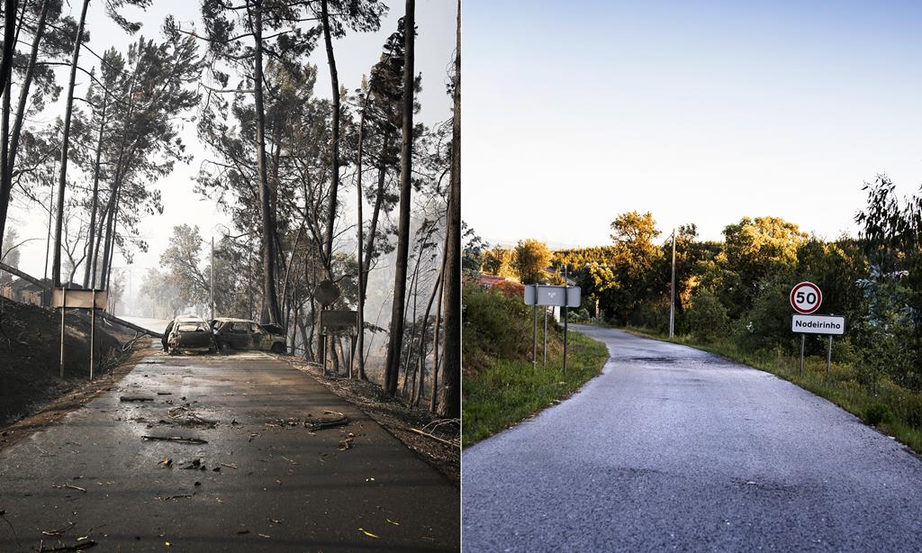 Montagem de fotografias de 2017 e 2020. Fotos: Joana Bourgard/RR