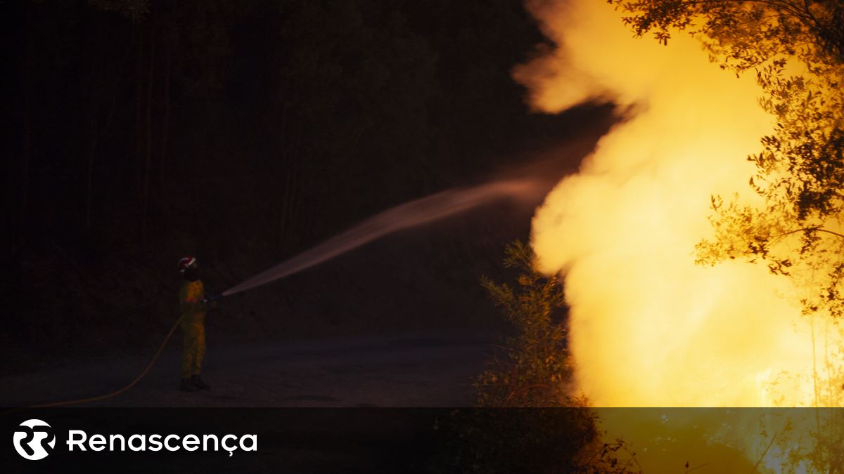 Incêndios. Fogo em Castro Daire sob rescaldo e vigilância