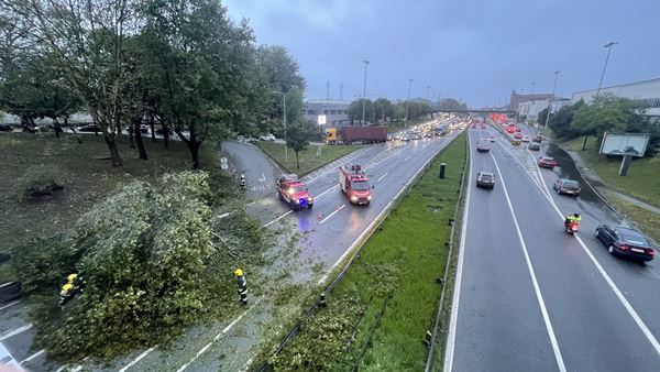 Mau tempo corta estradas. Mais de 500 ocorrências registadas até às 7h00