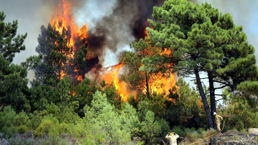 Elementos da GNR combatem incêndio na Serra da Estrela. Foto: António José/Lusa