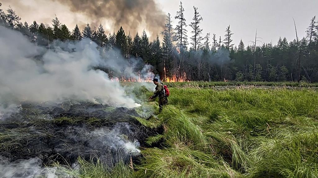 Fogos florestais Foto: EPA