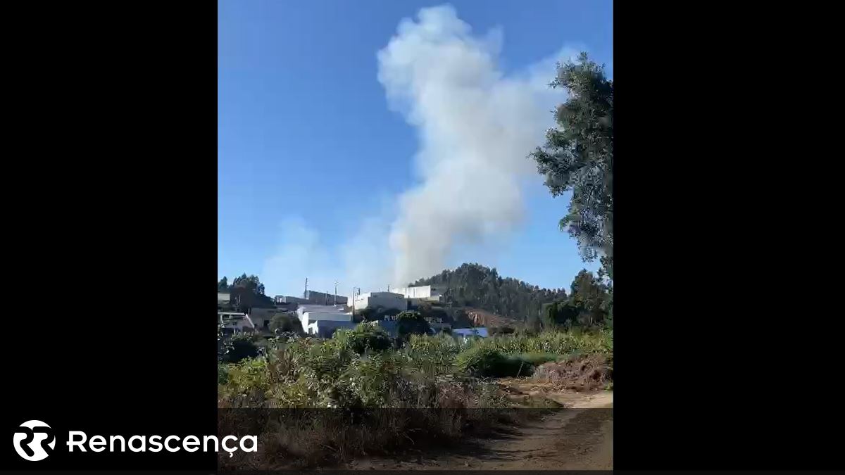 Incêndio em Baguim do Monte perto de zona industrial de Ermesinde