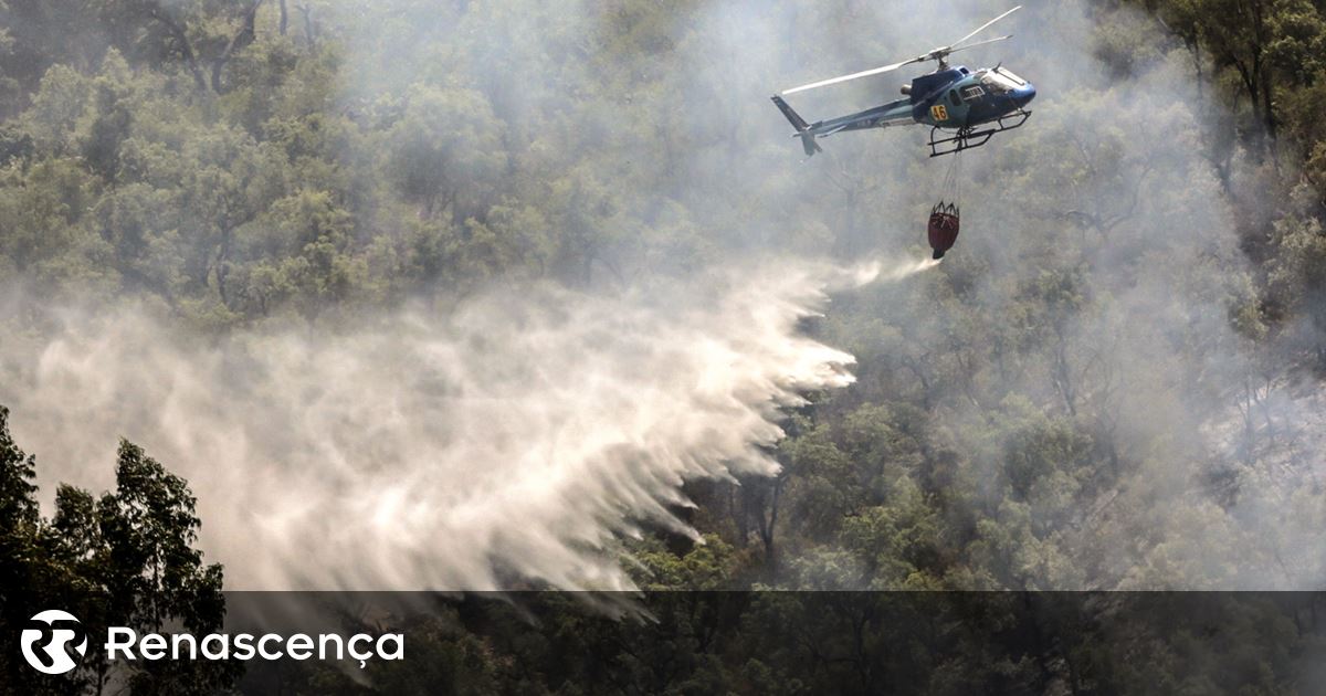 Onze meios aéreos combatem incêndio na Covilhã