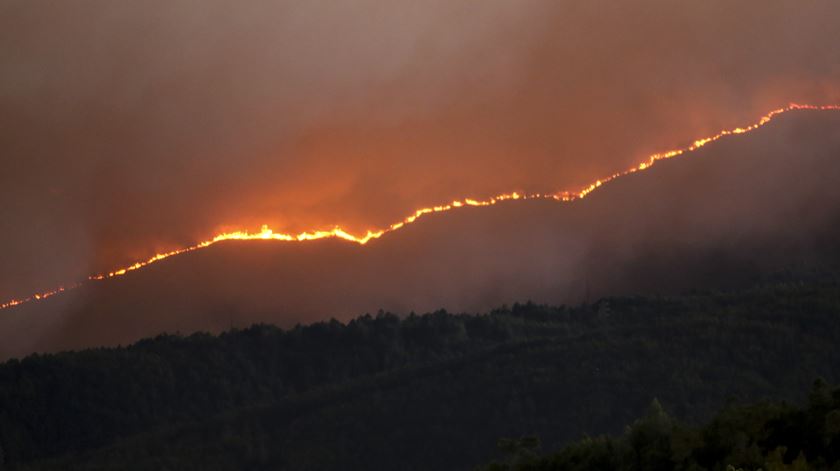 Incêndio consome área de pinhal no concelho de Oleiros. Foto: António José/Lusa