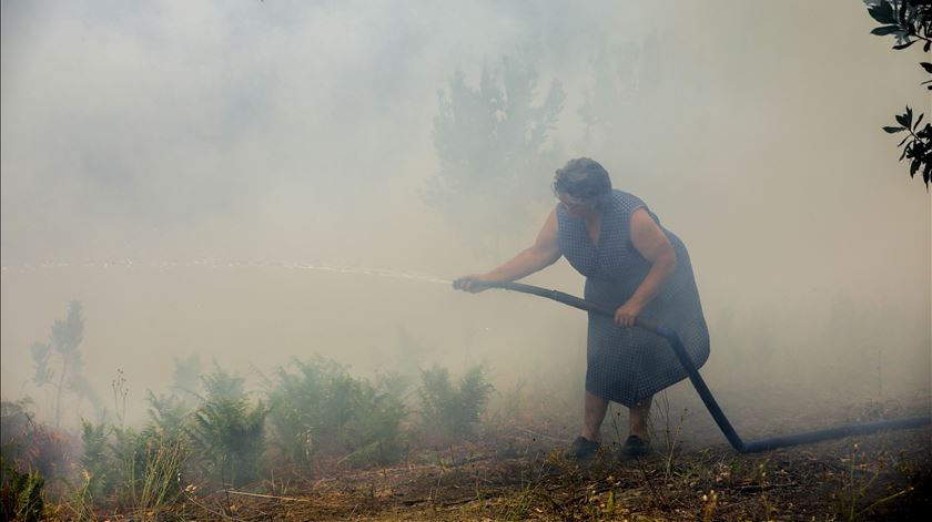 Fogo de Oleiros alastrou a Proença-a-Nova e Sertã. Foto: Paulo Cunha/Lusa