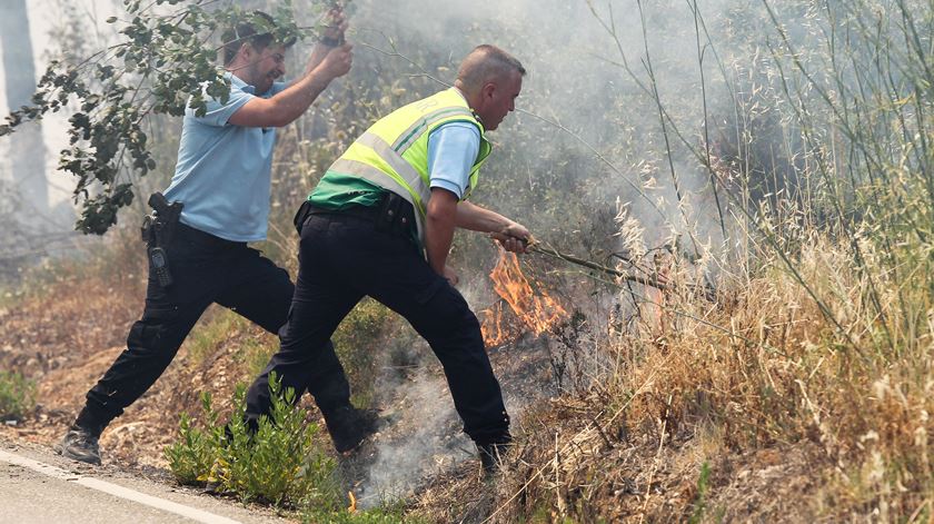 Voluntarismo não tem impedido sucessão de destruidora. Foto: Paulo Cunha/Lusa