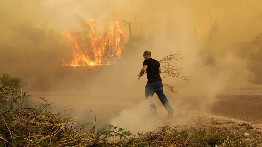Para combater as chamas, os populares usam o que têm à mão. Se falta água, pega-se em ramos secos. Foto: Paulo Novais/Lusa