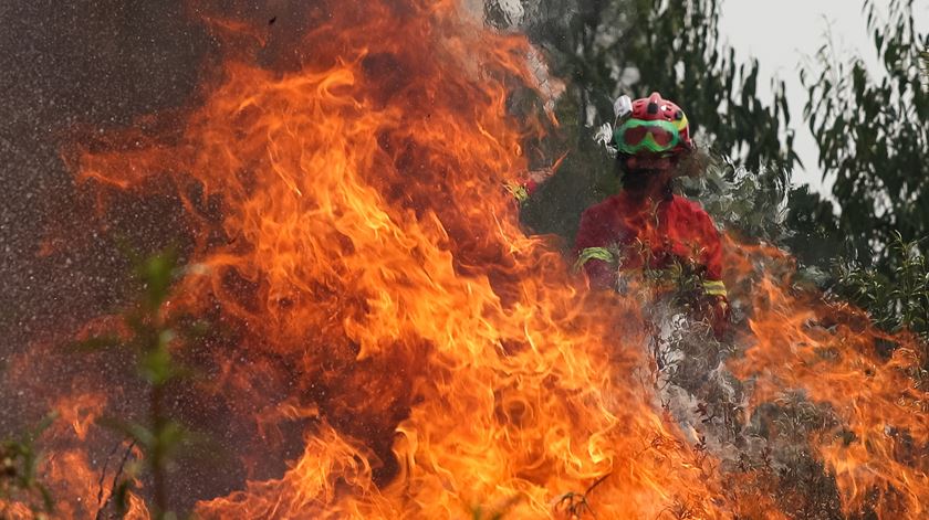 Incêndio de Mação durou dias e causou graves prejuízos materiais e sociais. Foto: Paulo Novais/Lusa