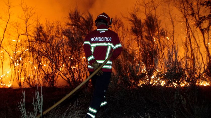 Formação em combate a incêndios florestais e urbanos é essencial para bombeiros, diz Duarte Caldeira. Foto: Miguel Pereira da Silva/Lusa