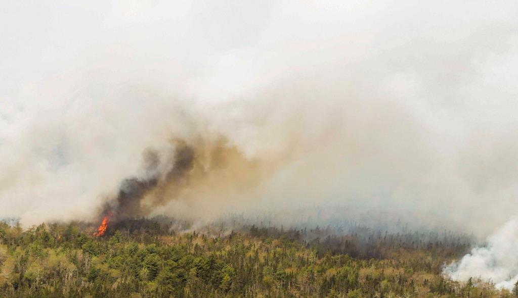 Incêndios florestais no Canadá. Foto: Nova Scotia Government/Handout via Reuters
