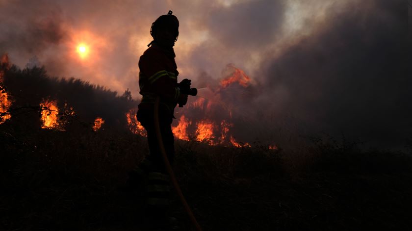 Incêndios em Portugal ocupam cerca de 800 bombeiros esta segunda-feira. Foto: Nuno André Ferreira/EPA