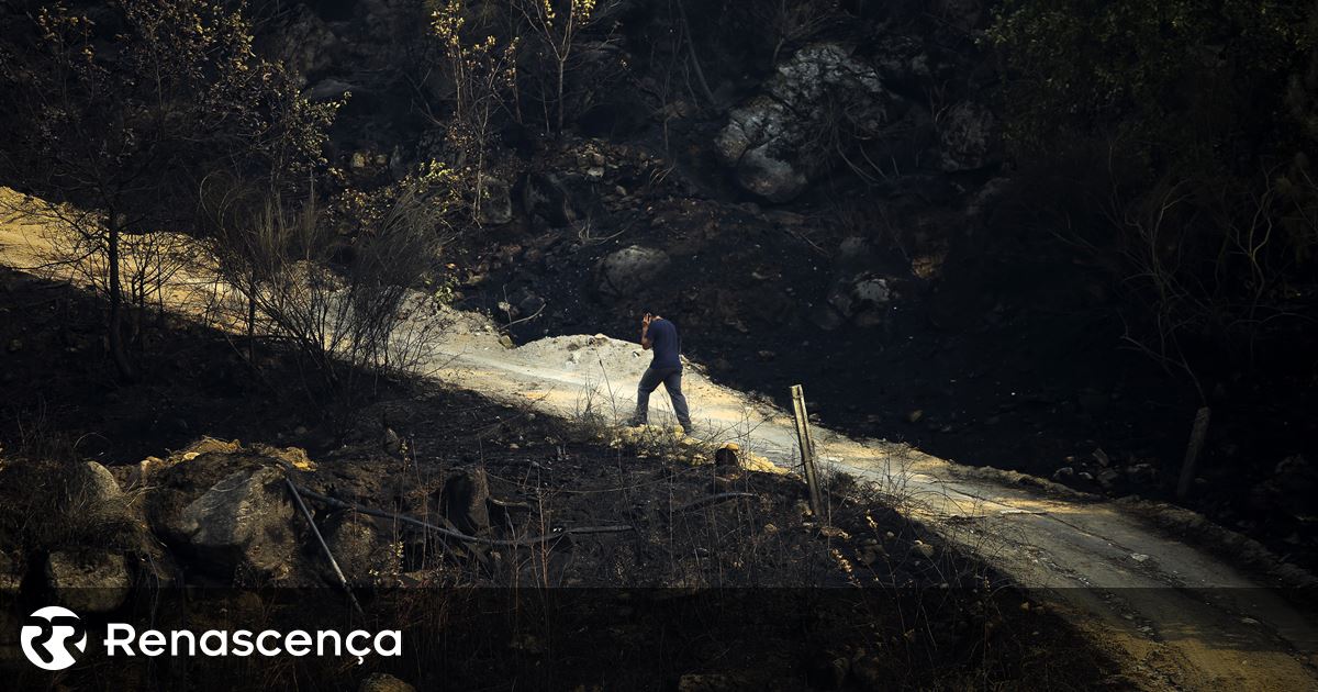 O fenómeno que pode estar na origem dos fogos de 15 de outubro